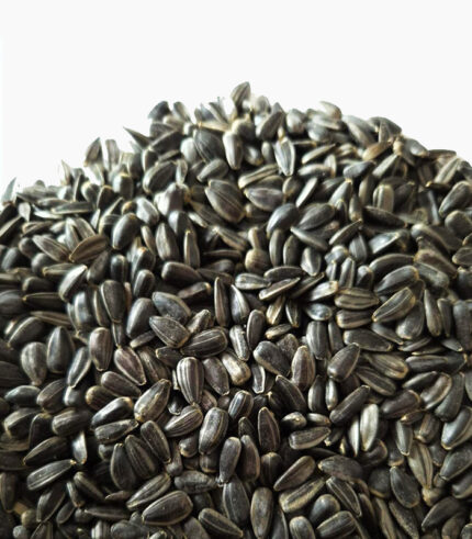 BIOLAND<br>Sonnenblumenkerne 1kg