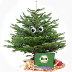 BIOLAND<br>Weihnachtsbaum 1,5 m<br>aus eigenem Anbau