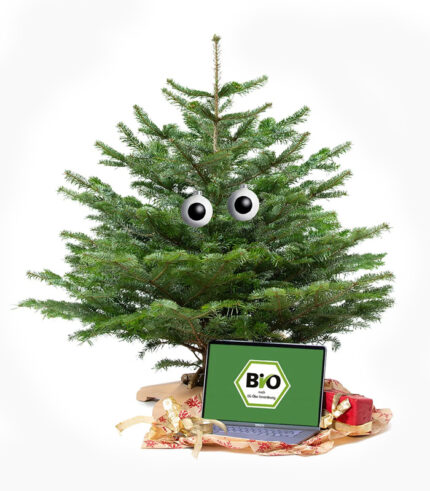 BIOLAND<br>Weihnachtsbaum 1,5 m<br>aus eigenem Anbau